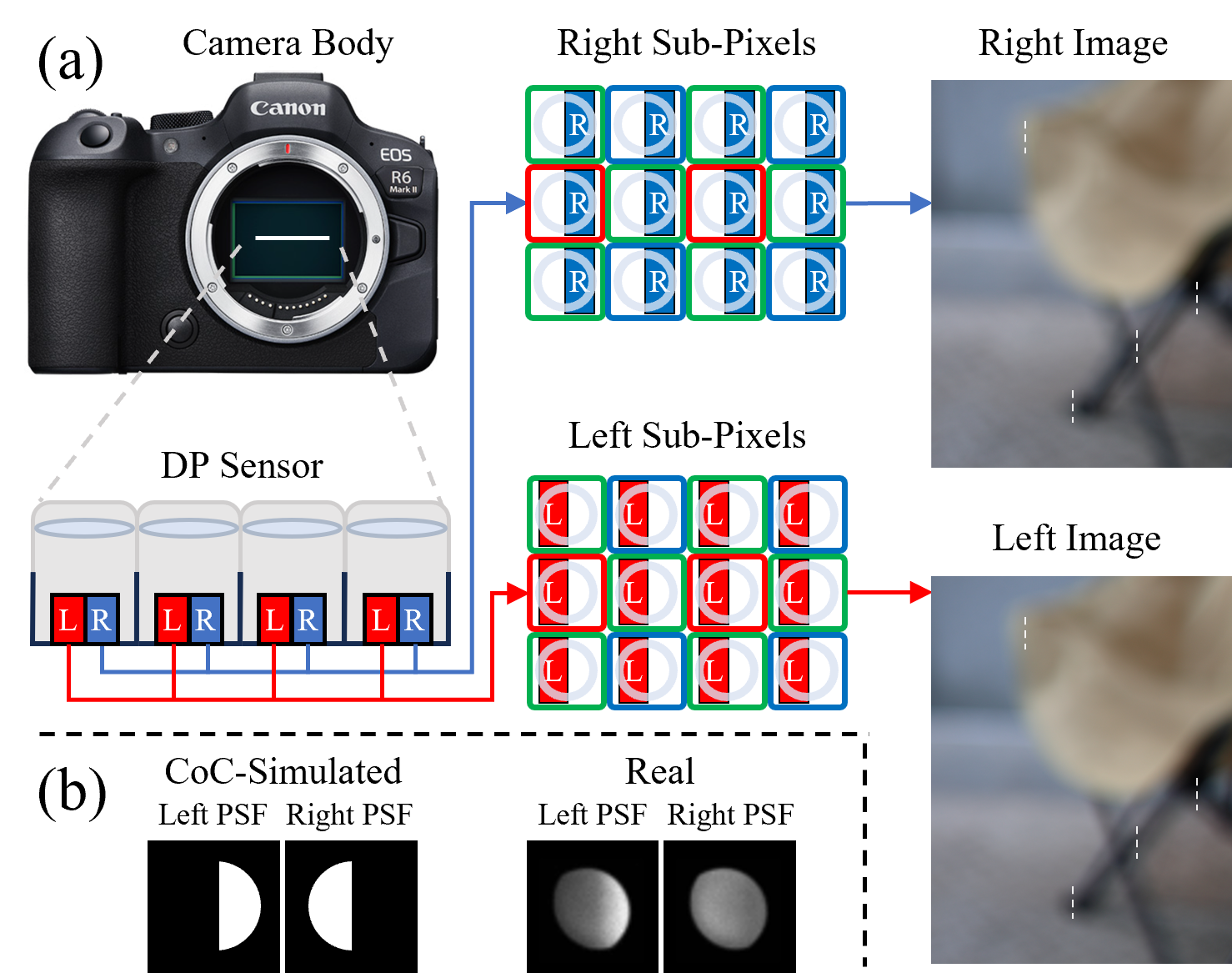 DP Imaging Process